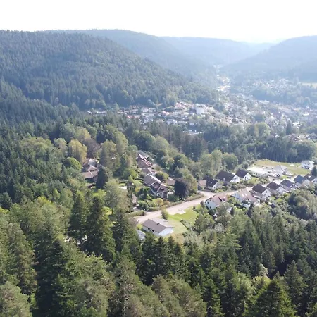 Tatil Evi Schatzhauser - Sauna & Wellness - Grosser Eingezaeunter Garten Alpirsbach