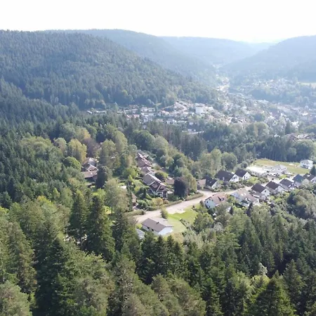 Schatzhauser - Sauna & Wellness - Grosser Eingezaeunter Garten Tatil Evi *